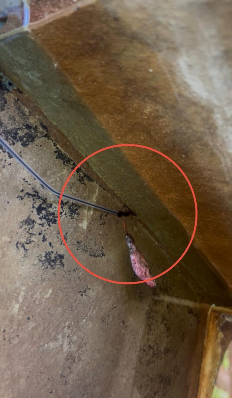 Red leak detection dye being pulled into a crack at the front throat of a pool skimmer underwater, circled in red